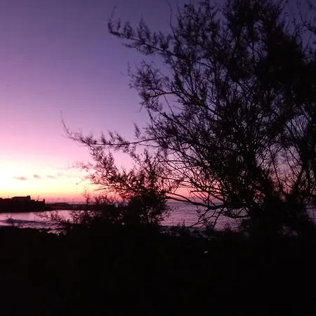 Casa And Company - Azorean Boutique House סנטה קרוז דה גרסיוזה