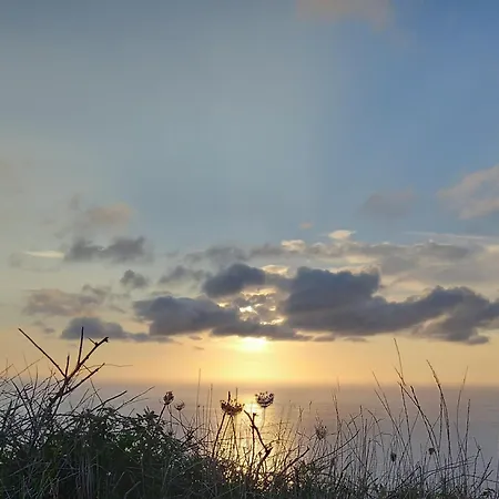 לינה וארוחת בוקר Casa And Company - Azorean Boutique House